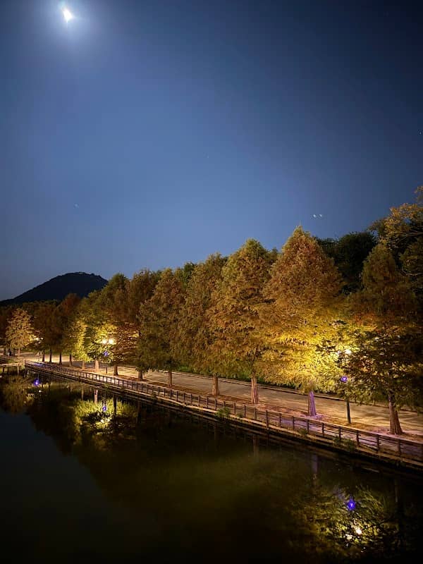 별빛달빛길 - Image 1