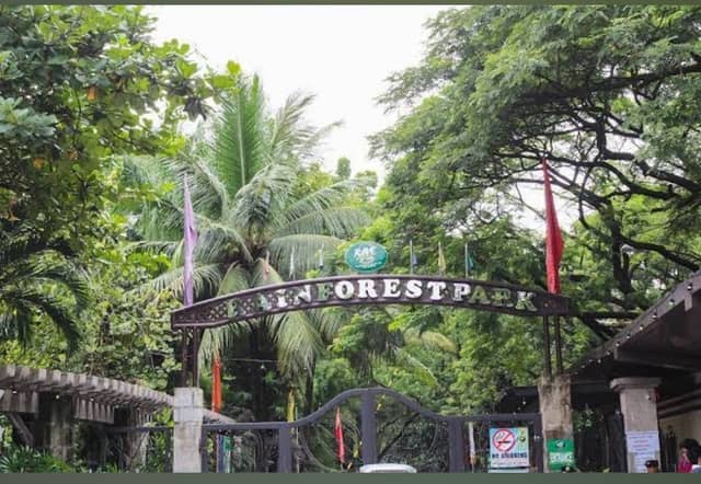 Maybunga Rainforest Park - Image 1