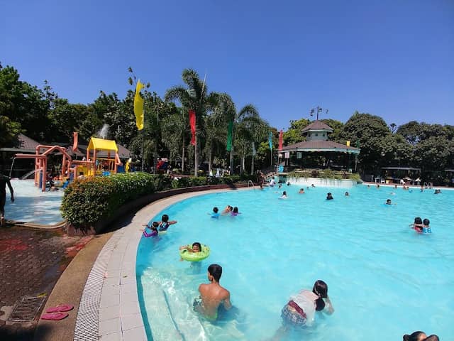 Maybunga Rainforest Park - Image 3