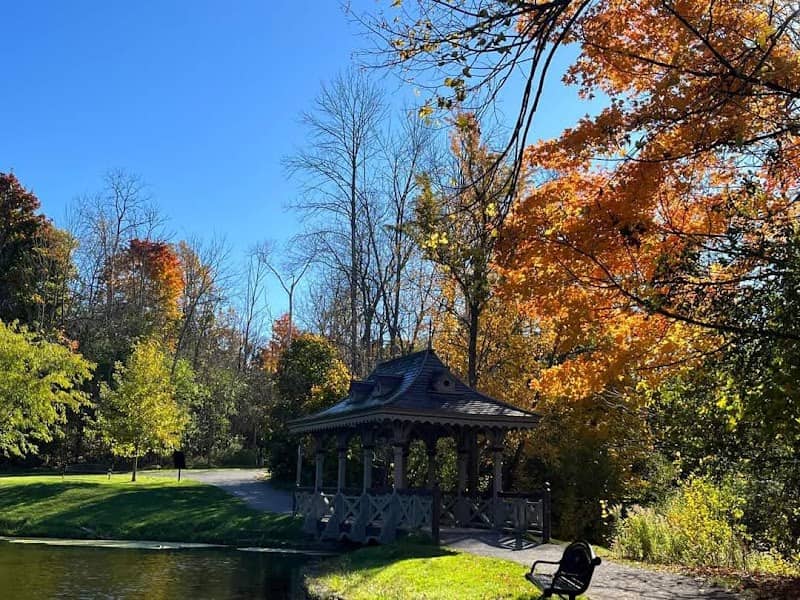 Jackson Park - Image 1