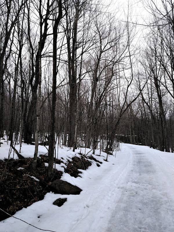 La Source - Image 1