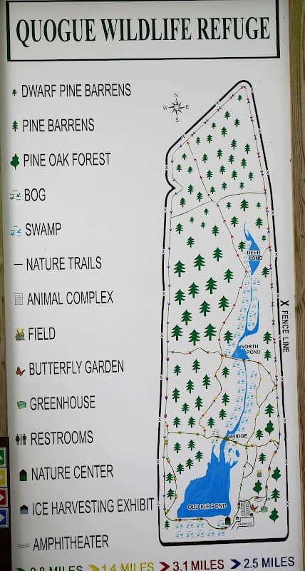 Quogue Wildlife Refuge - Image 2