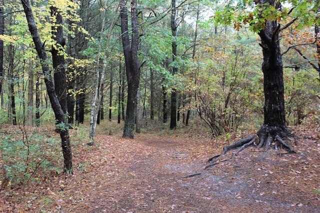 Quogue Wildlife Refuge - Image 3