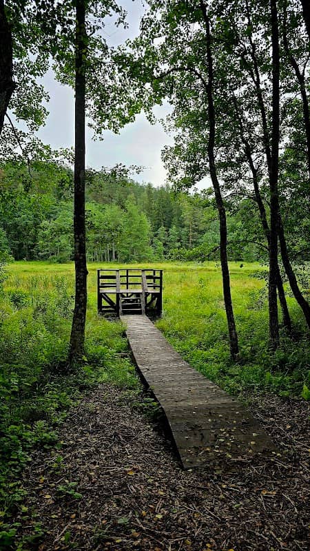 Apžvalgos bokštelis - Image 1
