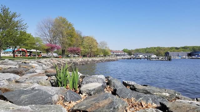 North East Community Park - Image 1