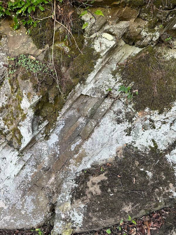 Bakersville Creek Walk - Image 1