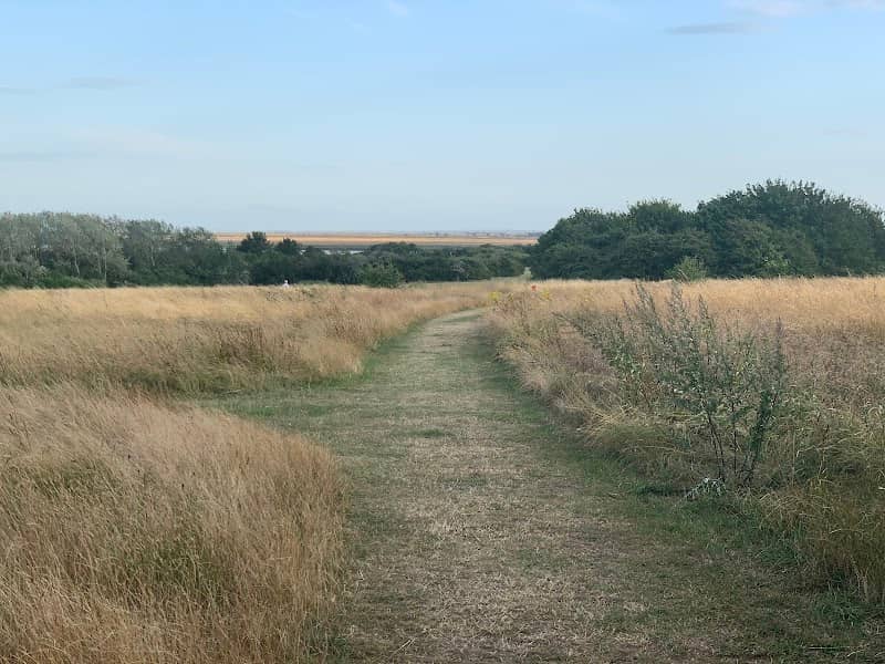 Country Park Burnham On Crouch - Image 1