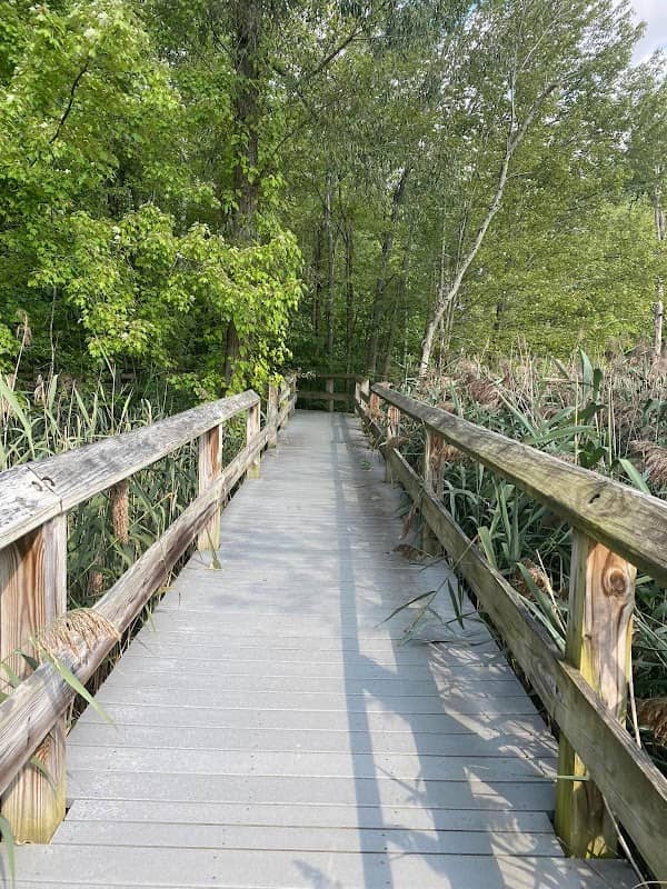 Howland Wildlife Preserve Trail Boardwalk - Image 1