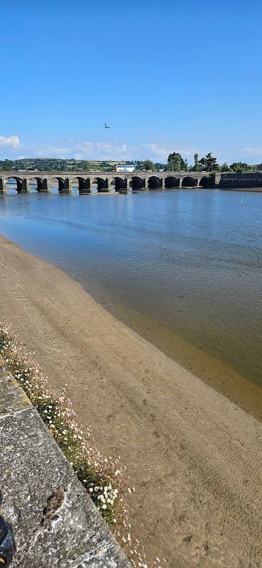 River Taw - Image 1