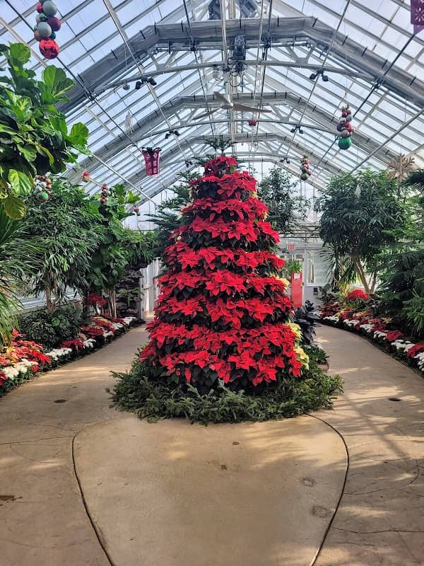 Wilder Park Conservatory - Image 2