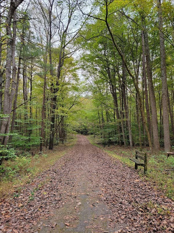 Pioneer Mothers Memorial Forest - Image 2