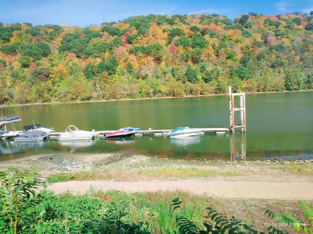 Monongahela Aquatorium - Image 2