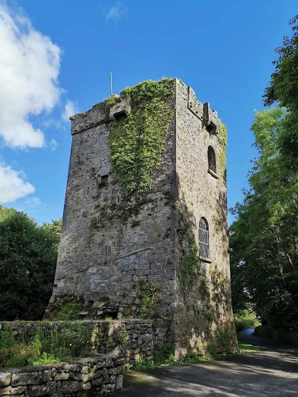 Rinville Park - Image 1