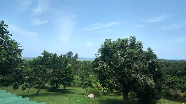Bieque Eco Trips - Image 2