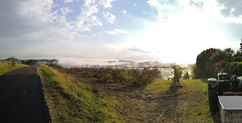 Monte Fortino - Image 1