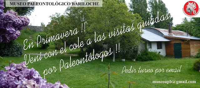 Bariloche Paleontological Museum - Image 1