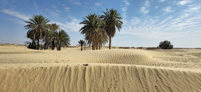 Oasis - Image 1