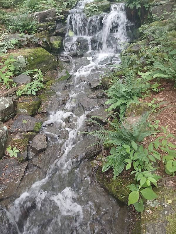 Waterfall - Image 1