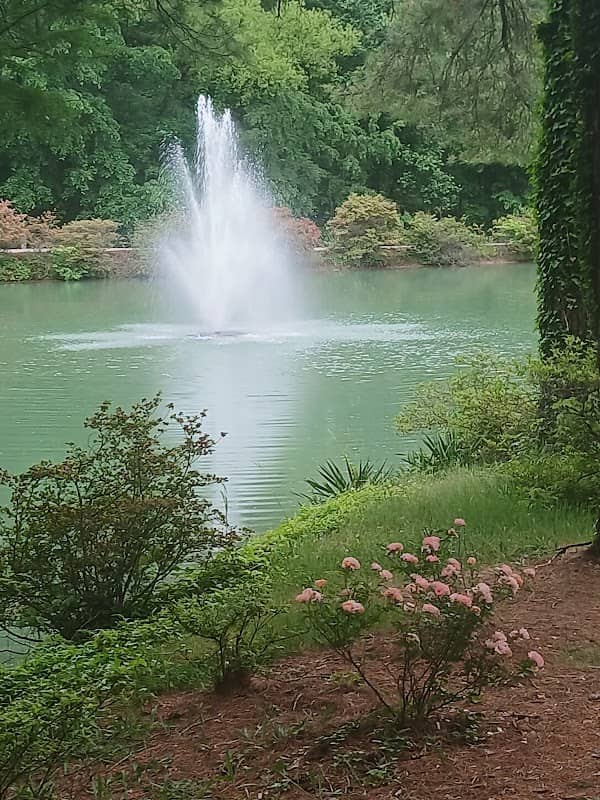 Waterfall - Image 2