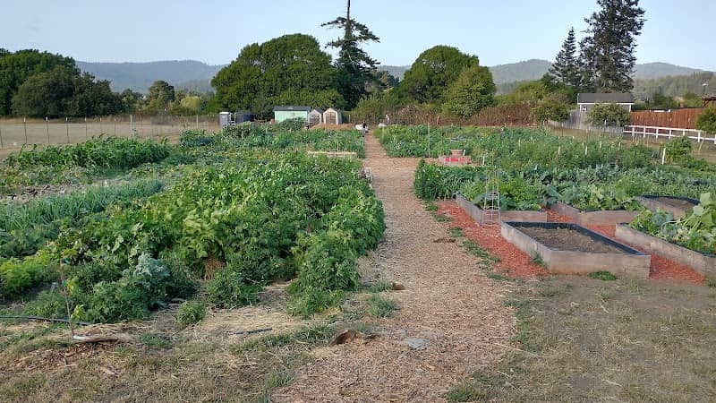 Fortuna Adventist Community Garden - Image 1