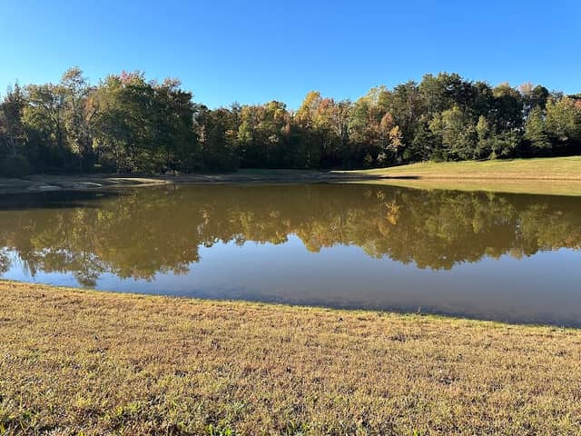 Salem Pond - Image 2
