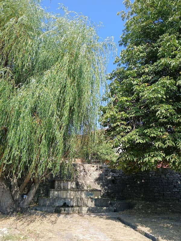 Парка - Image 2