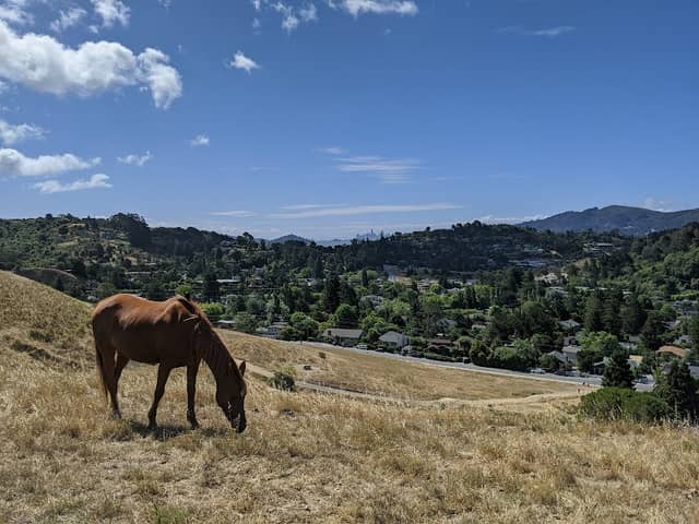 Horse Hill Preserve - Image 1