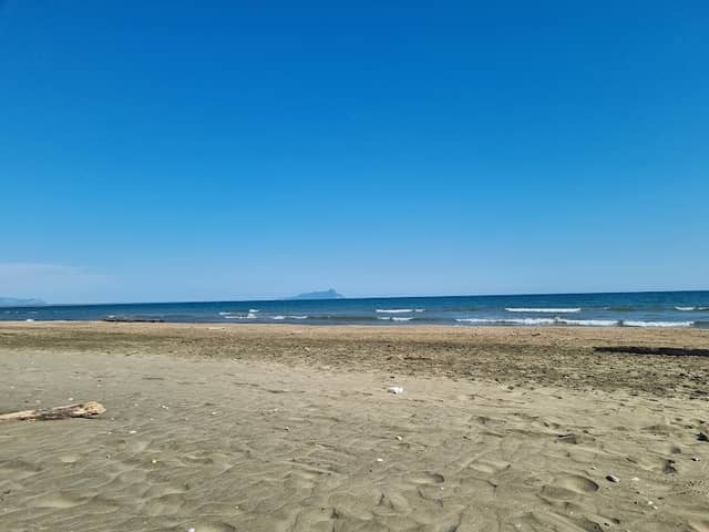 Latina - Image 1