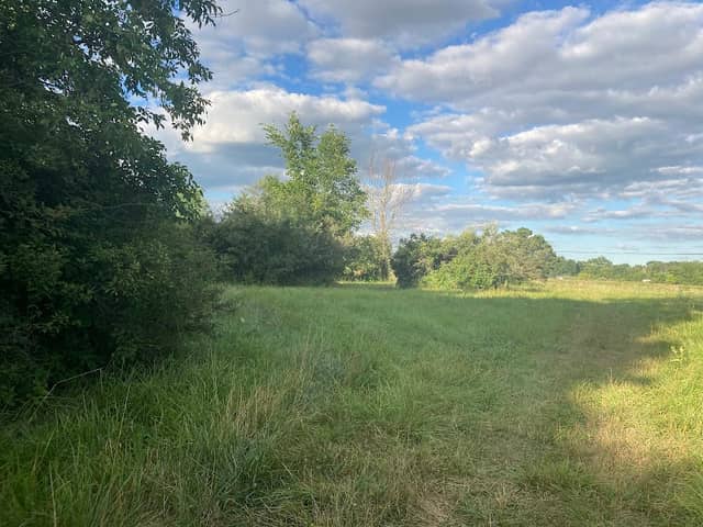 Brown City Park - Image 1