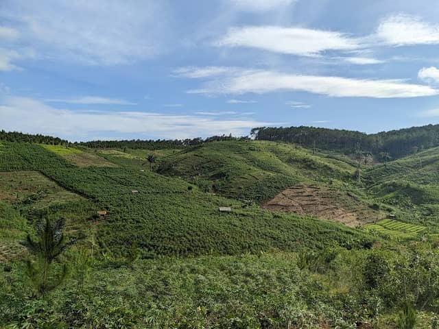 Sempayak Hills - Image 1