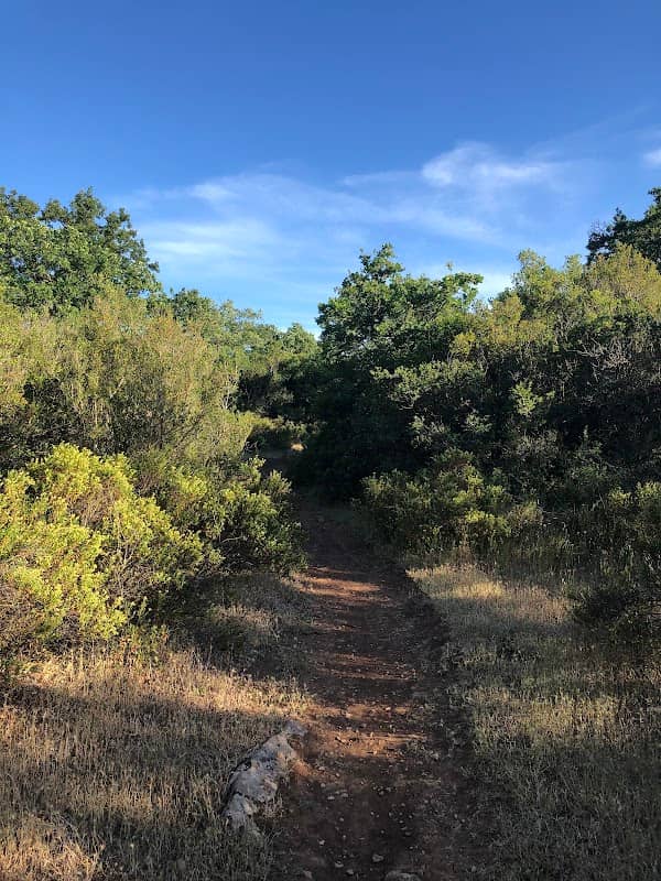 Bosco di Marcèdde - Image 1