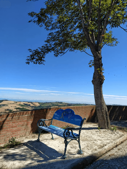 Panchina della Tenerezza - Image 1