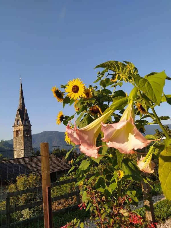 La casa di Frida - Image 1