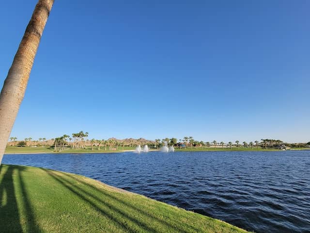 Palm Patch Landing - Image 1