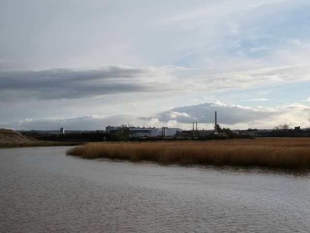 Burham Marsh - Image 2