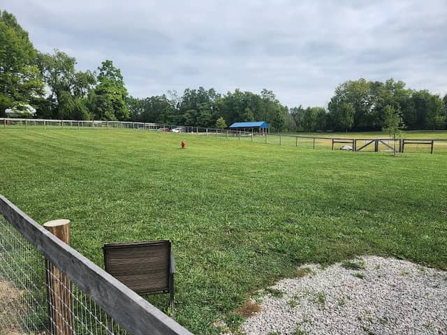 Johnstown (OH) Dog Park - Image 1