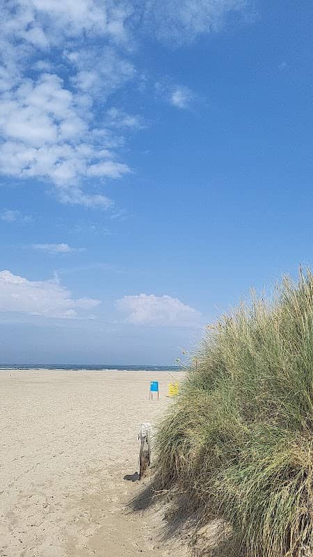I Love Texel - Image 3