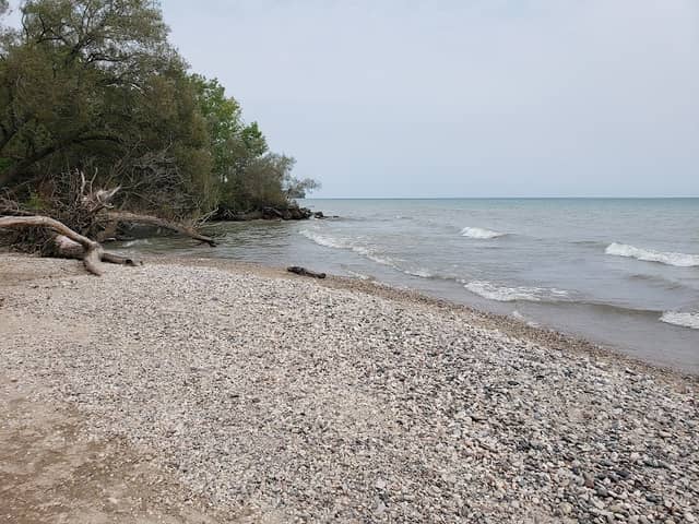 Fischer Creek Conservation Area - Image 1