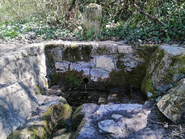 Főkút-forrás - Image 1