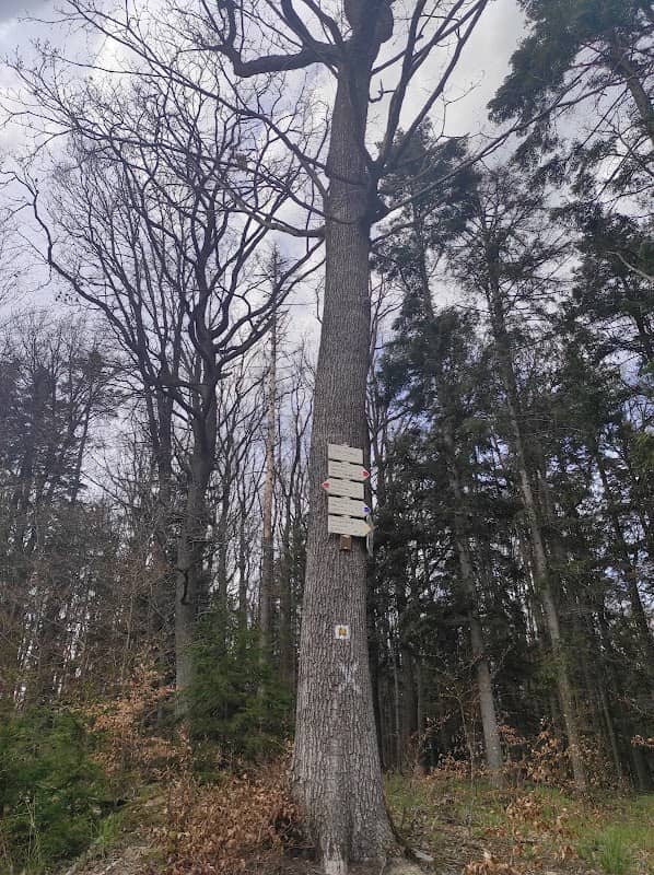 Turistický rozcestník Pod Lysinou - Image 1