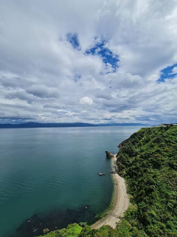 Yazaki Memorial Forest - Image 1