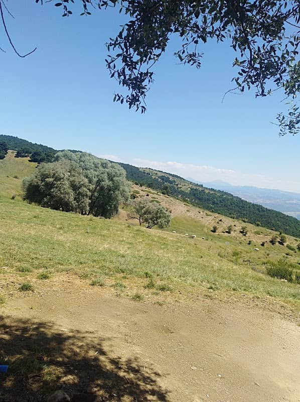 Çamdere Yaylası - Image 1