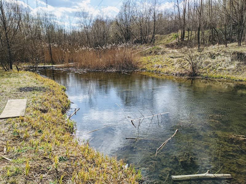 River Valley Chermyanki - Image 2