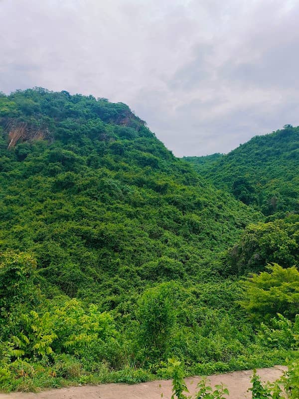 Gudilova Hills, Kambalakonda Wildlife Sanctuary - Image 1