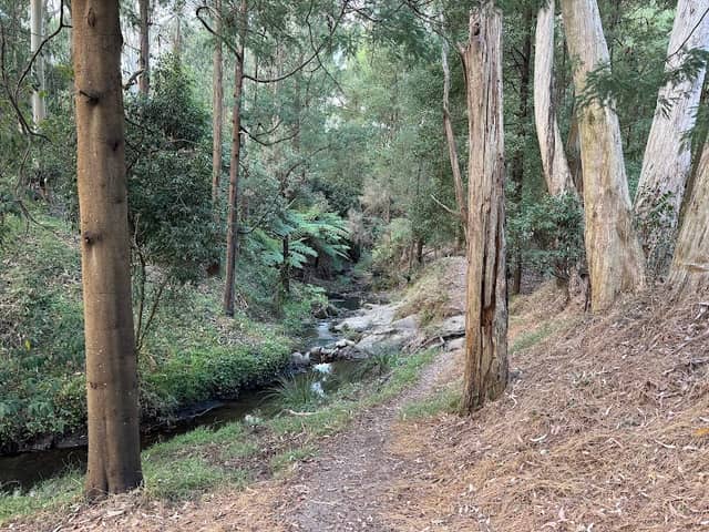Paradise Falls - Image 1