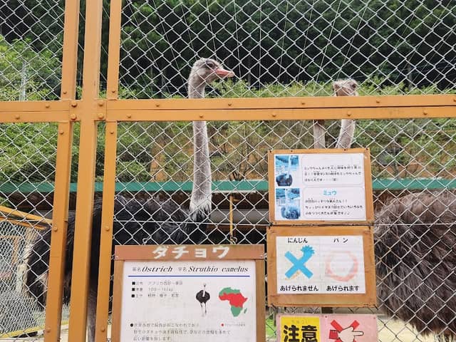 Ouchiyama Zoo - Image 1