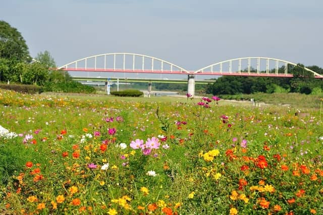 Aina Shinsui Park - Image 1