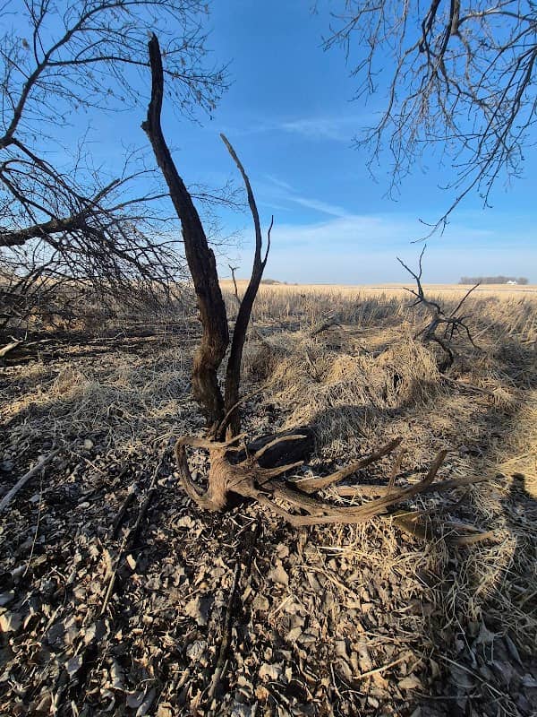 Minnesota Waterfowl Production Area - Image 1