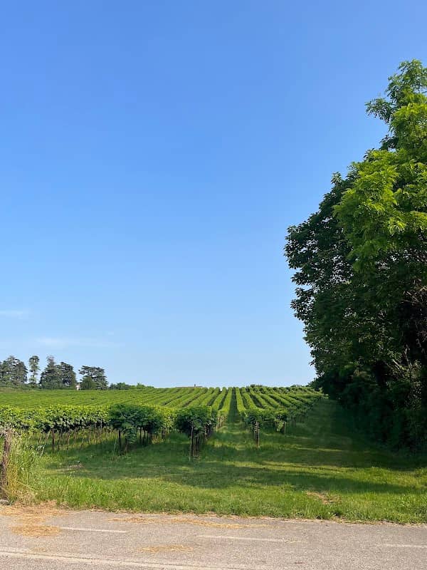 Belvedere sul Castello Lucheschi - Image 1
