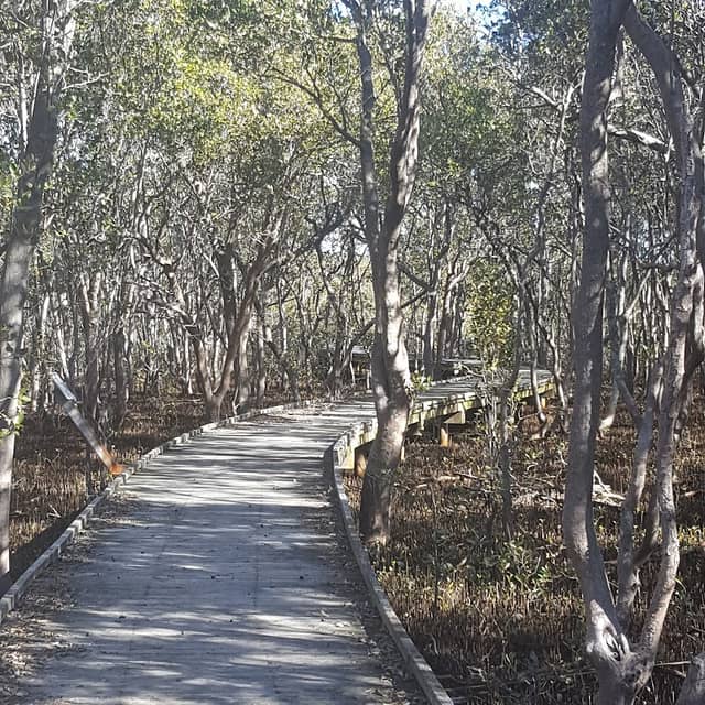 Rainforest walk to Riverside Park - Image 1